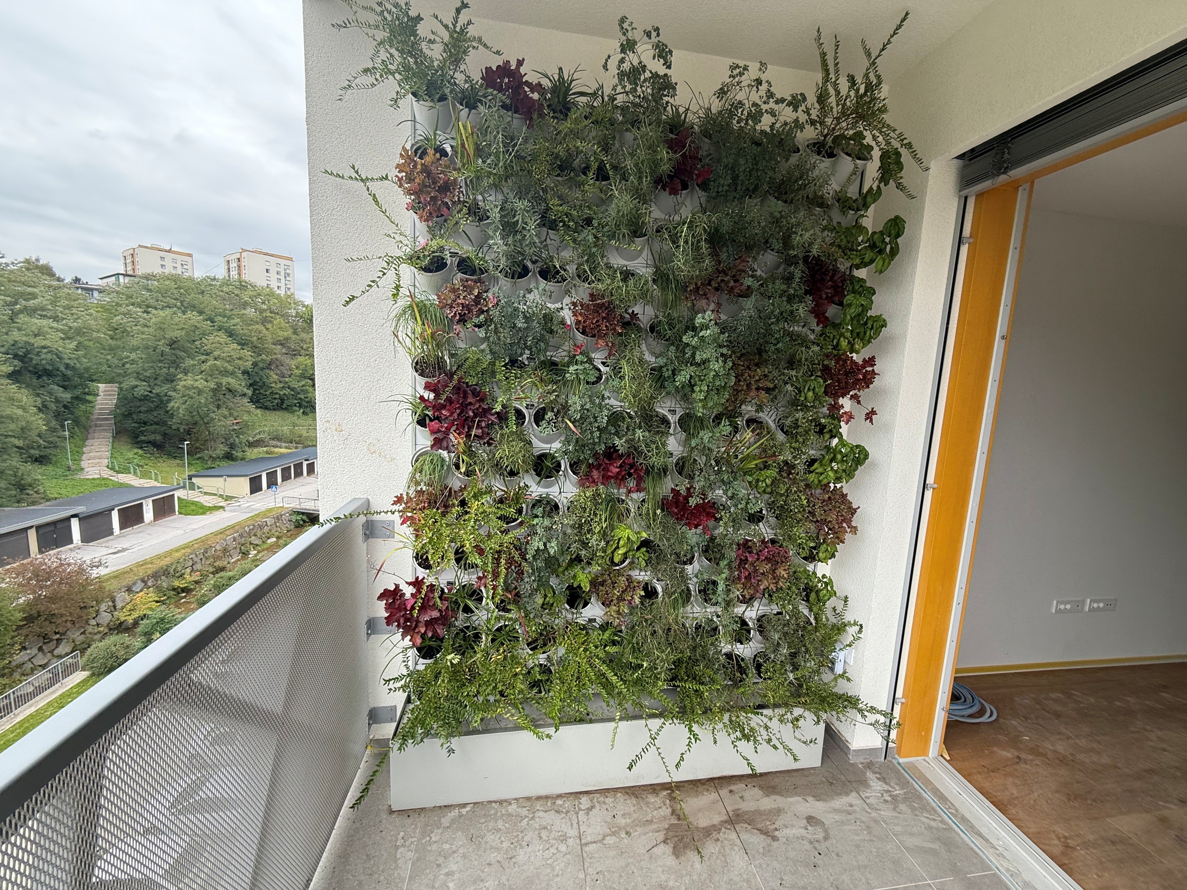 green_wall_1.jpg
