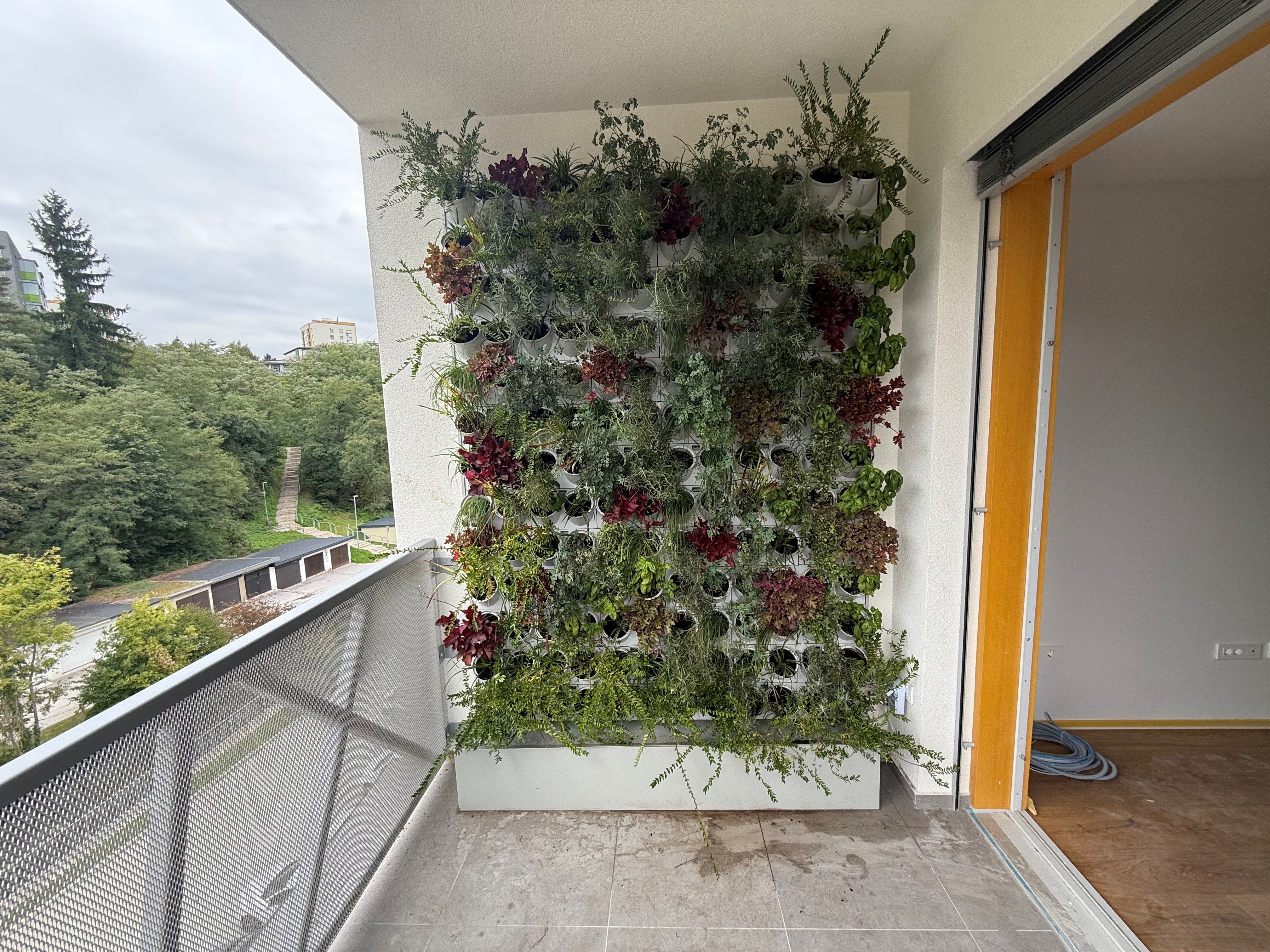 green_wall_2.jpg