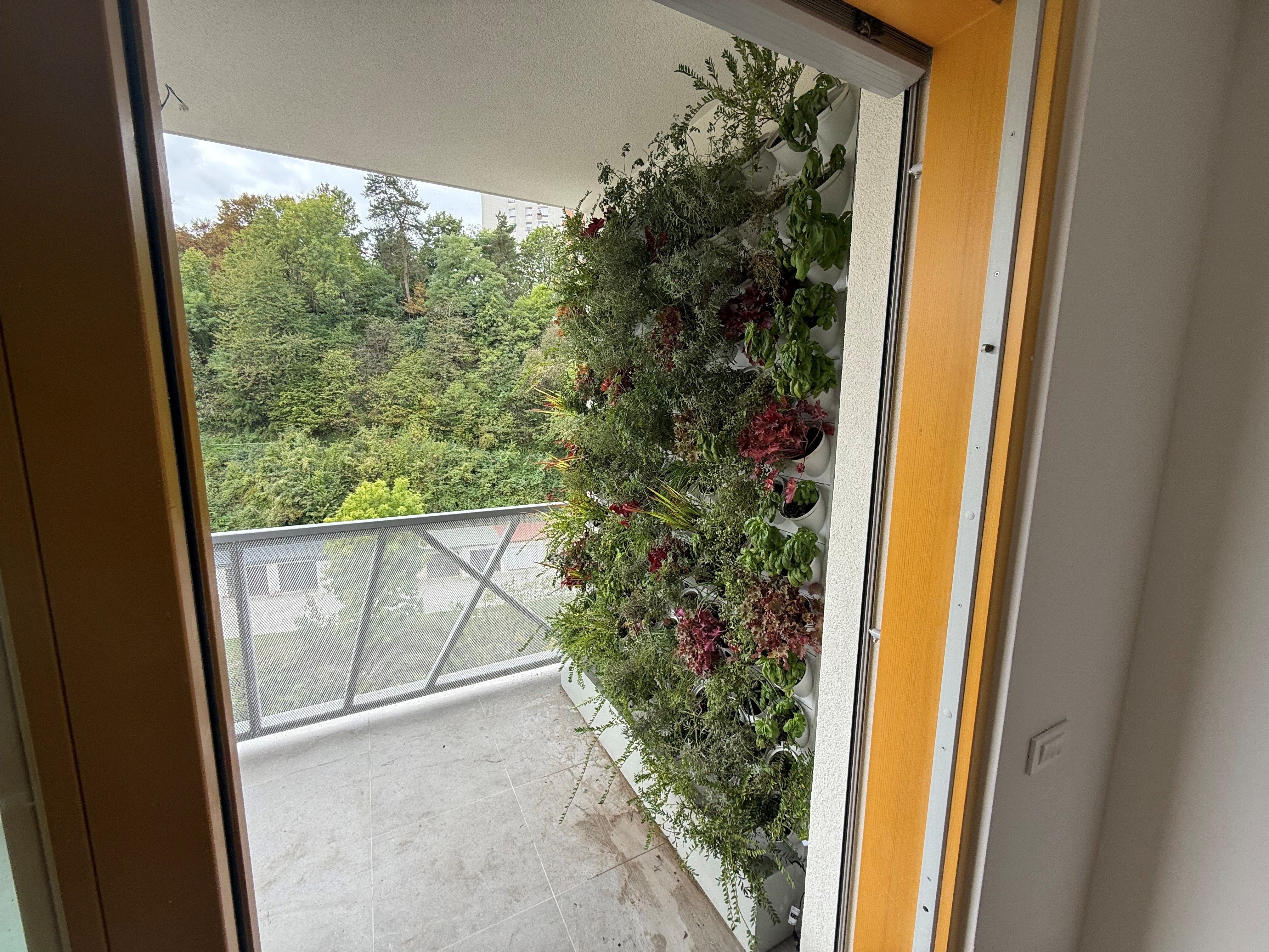 green_wall_3.jpg